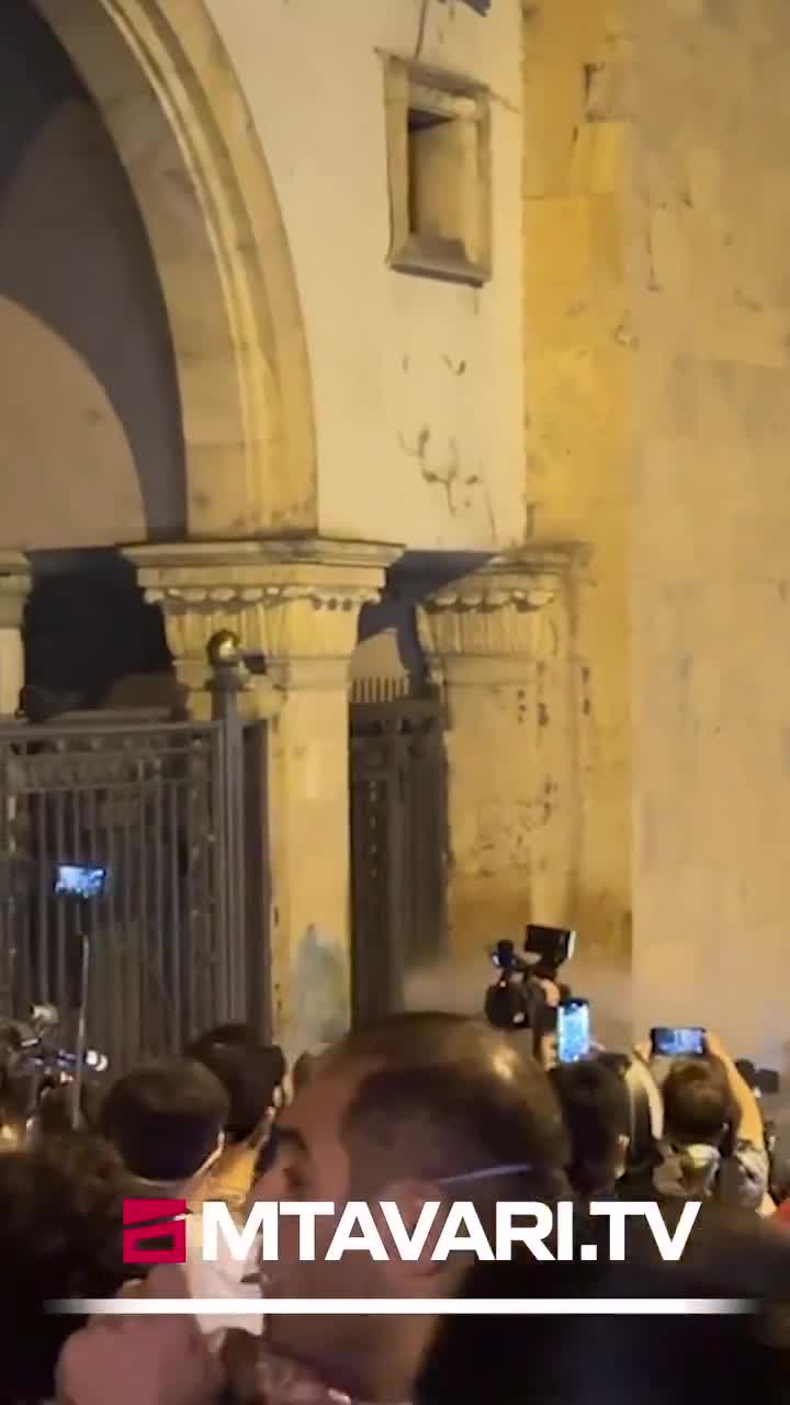 Police used water cannons against peaceful demonstrators near the Georgia parliament building