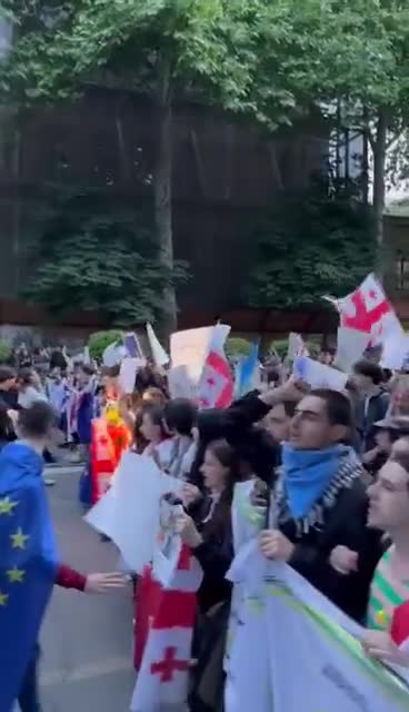 A large protest march in Tbilisi after student groups from various universities united on Rustaveli Avenue