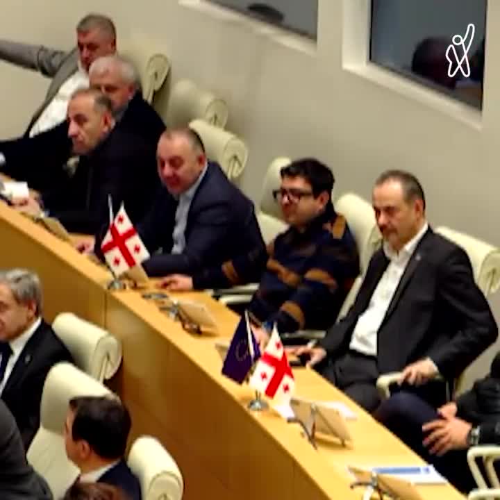 Fight erupts in the Georgian parliament as Georgian Dream pushes the “foreign agents” law in the final reading