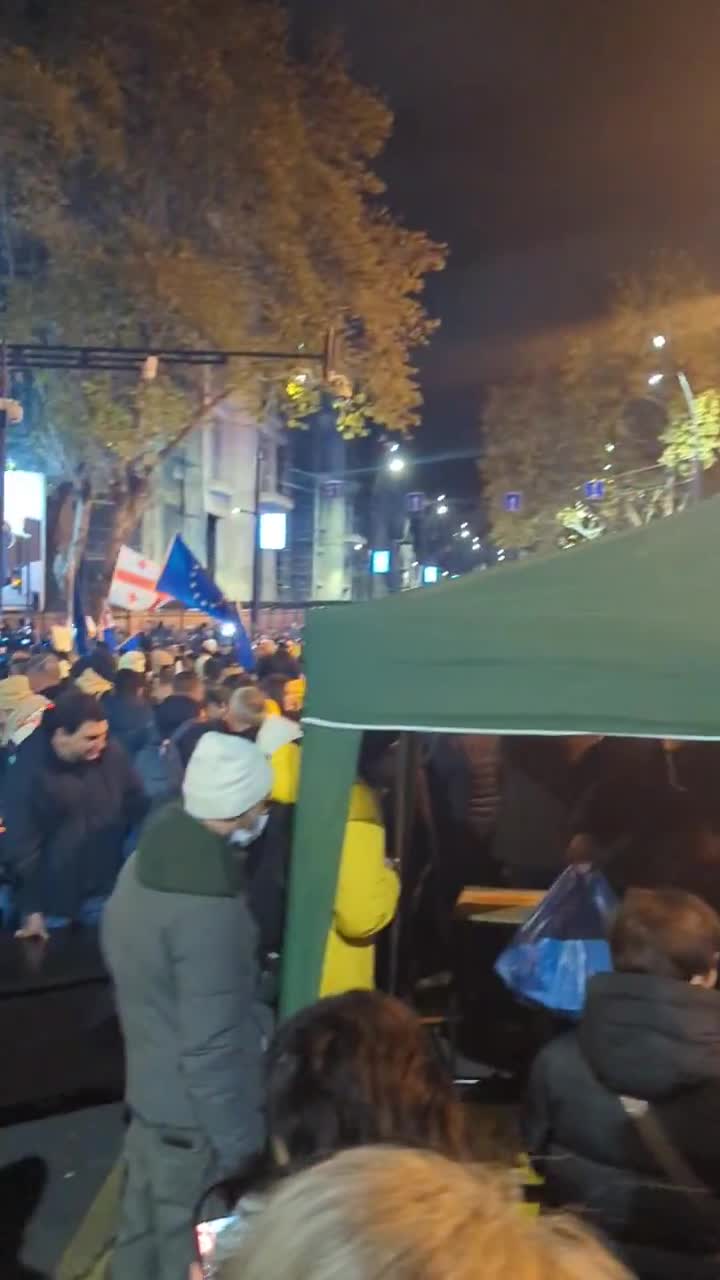 Se han vuelto a instalar tiendas de campaña en el lugar de la protesta, cerca de la Universidad Estatal de Tbilisi, mientras continúa la manifestación. Vídeo: Nini Gabritchidze/Civil.ge