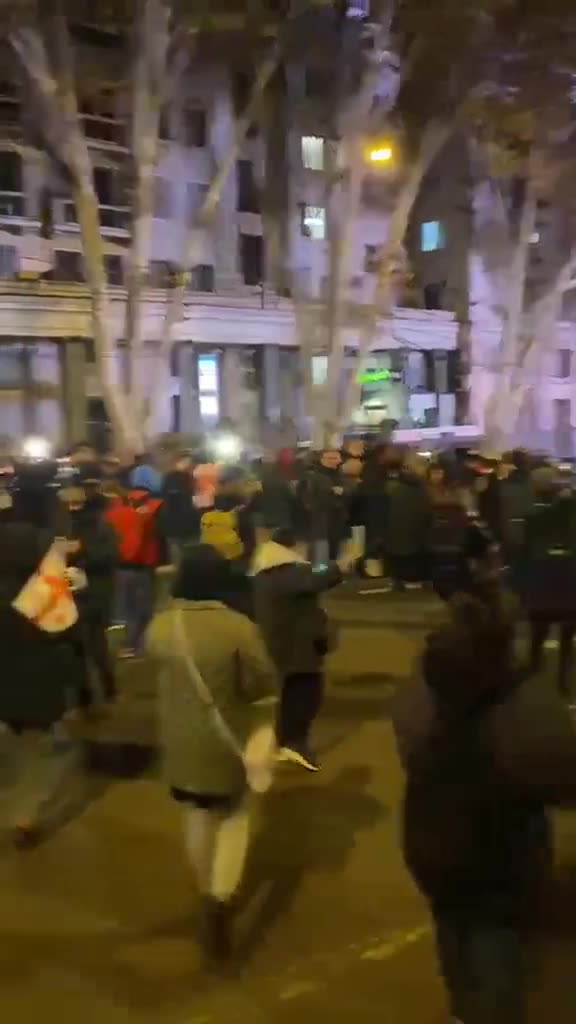 De demonstranten blokkeerden het verkeer op de Kostavastraat voor het gebouw van de publieke omroep, dat naar het belangrijkste transportknooppunt van de stad leidt. Ze hadden een deadline van 19:30 uur gesteld voor de directie van het station om met hen te vergaderen. Foto: Otto Kantaria