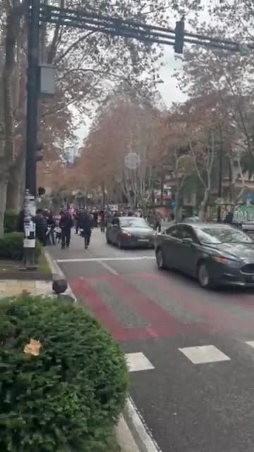 Tbilisi university students marching on Chavchavadze avenue