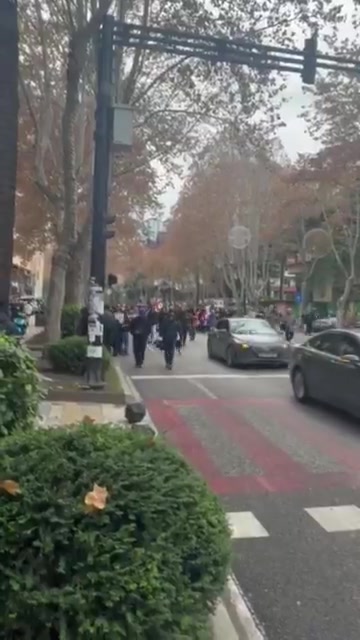 Tbilisi university students marching on Chavchavadze avenue