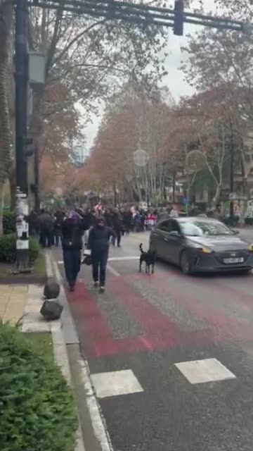 Tbilisi university students marching on Chavchavadze avenue