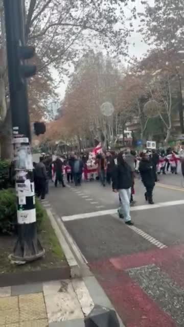 Tbilisi university students marching on Chavchavadze avenue