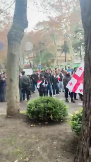 Tbilisi university students marching on Chavchavadze avenue