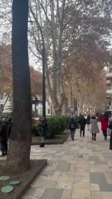 Tbilisi university students marching on Chavchavadze avenue