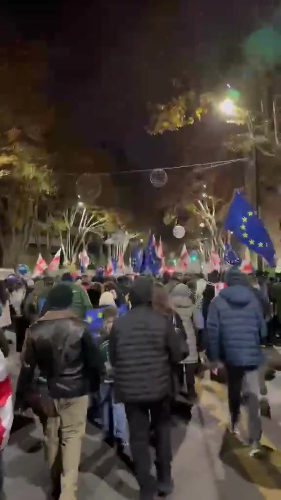 Professors and students of Tbilisi's Ilia State University are now marching towards the parliament. It's the fifth day of fierce and non-stop nationwide protests against Georgian Dream's announcement to freeze EU accession