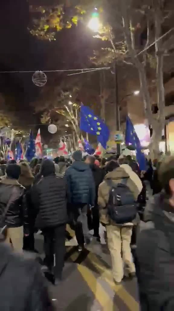 Professors and students of Tbilisi's Ilia State University are now marching towards the parliament. It's the fifth day of fierce and non-stop nationwide protests against Georgian Dream's announcement to freeze EU accession