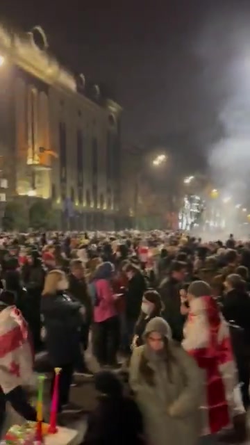 „Bidzina muss bestraft werden – Menschenmengen versammeln sich am 7. Tag der Proteste in Georgien auf der Rustaveli Avenue in Tiflis. Die Wut der Demonstranten ist umso größer, da die heutige Kundgebung auf eine Reihe von Festnahmen und Razzien gegen Aktivisten und Oppositionspolitiker folgt, die den ganzen Tag über stattfanden.