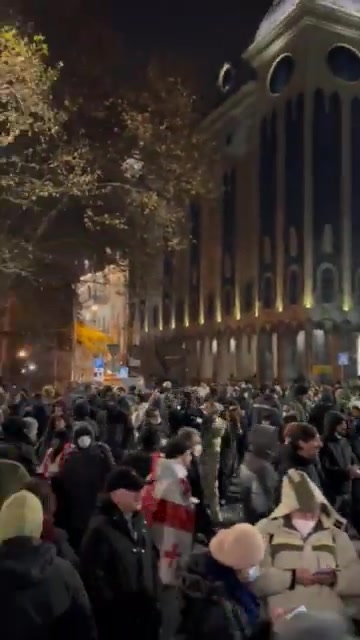 Ahora se ve la avenida Rustaveli. La multitud se ha reunido para la protesta y las unidades policiales vuelven a proteger las calles laterales del edificio del parlamento.