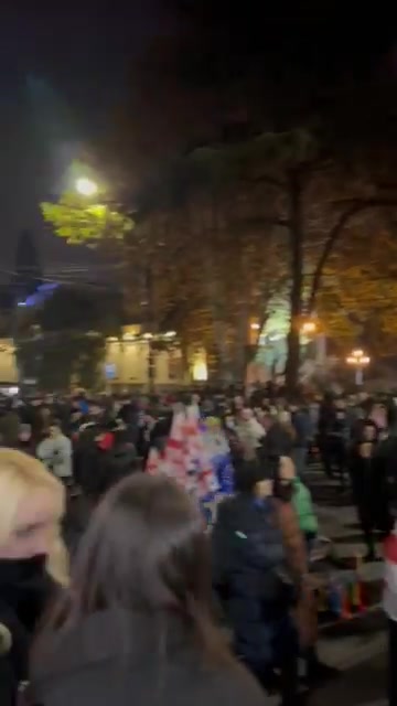 Ahora se ve la avenida Rustaveli. La multitud se ha reunido para la protesta y las unidades policiales vuelven a proteger las calles laterales del edificio del parlamento.