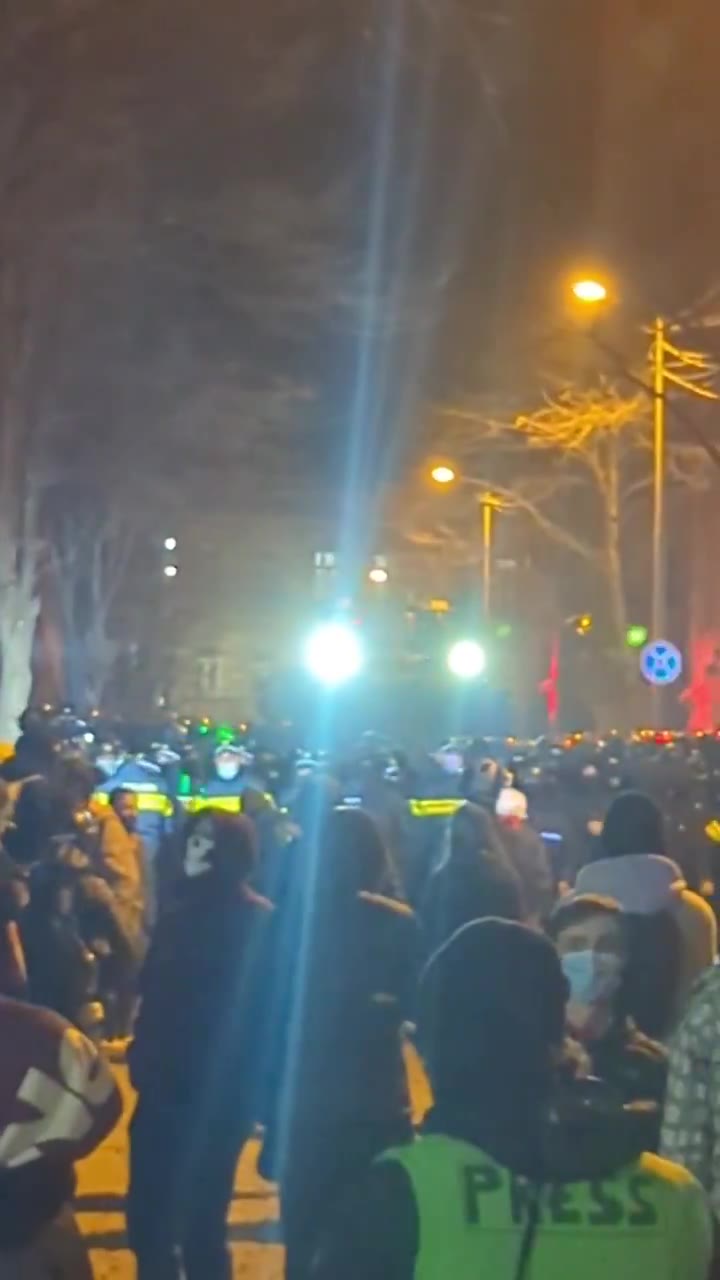 Una unidad de la policía antidisturbios y un cañón de agua aparecen en la calle Chichinadze, cerca del parlamento. Todavía no hay avisos de dispersión. Mientras tanto, los manifestantes formaron grupos de patrullaje voluntarios para proteger a los ciudadanos de los matones pro gubernamentales.