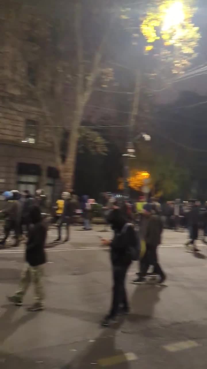 A las 2 de la madrugada, los manifestantes seguían dispersos por la avenida Rustaveli. Se movilizó la policía antidisturbios y los cañones de agua, pero todavía no se han recibido advertencias de dispersión.