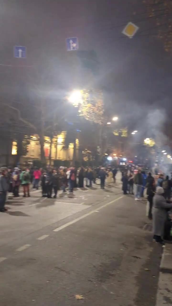 A las 2 de la madrugada, los manifestantes seguían dispersos por la avenida Rustaveli. Se movilizó la policía antidisturbios y los cañones de agua, pero todavía no se han recibido advertencias de dispersión.