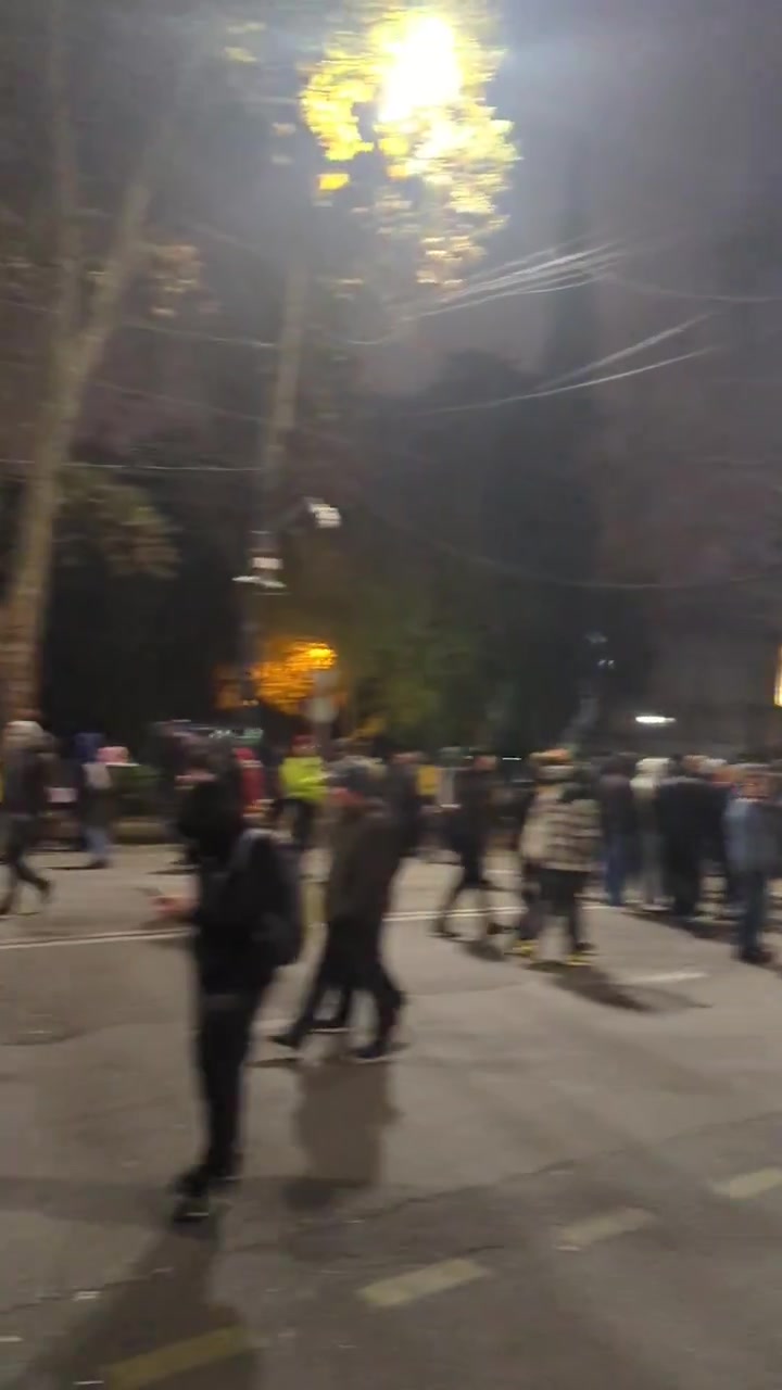 A las 2 de la madrugada, los manifestantes seguían dispersos por la avenida Rustaveli. Se movilizó la policía antidisturbios y los cañones de agua, pero todavía no se han recibido advertencias de dispersión.