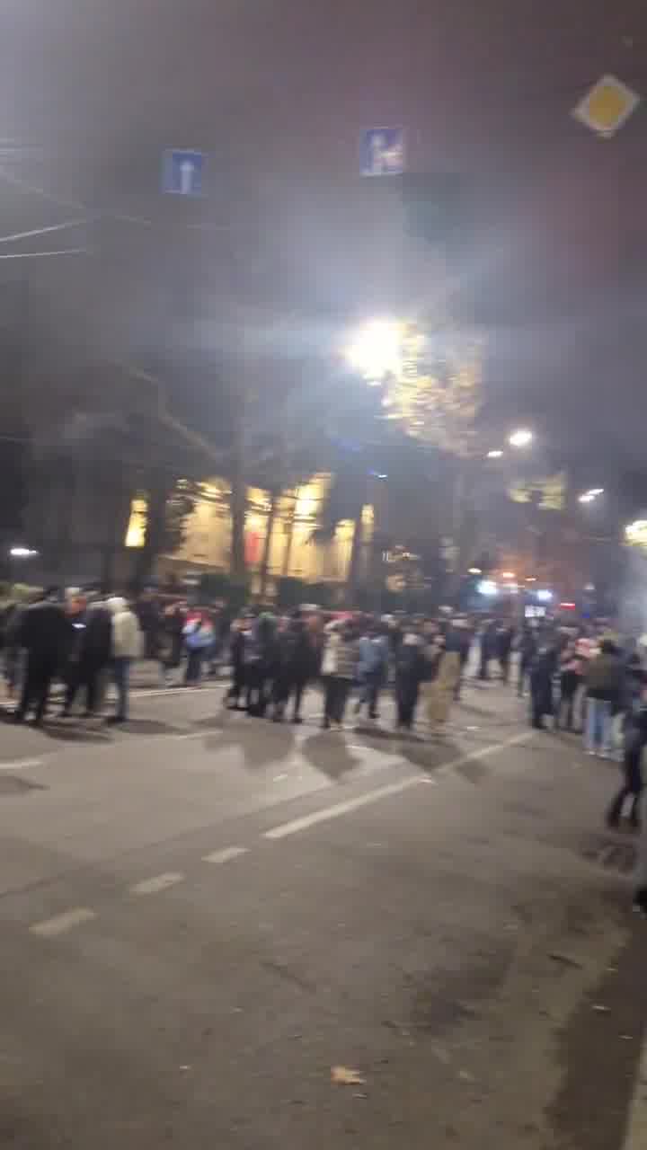 A las 2 de la madrugada, los manifestantes seguían dispersos por la avenida Rustaveli. Se movilizó la policía antidisturbios y los cañones de agua, pero todavía no se han recibido advertencias de dispersión.