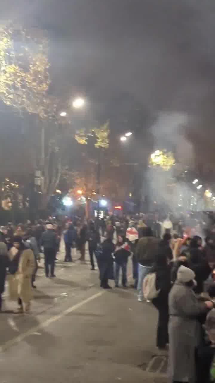 A las 2 de la madrugada, los manifestantes seguían dispersos por la avenida Rustaveli. Se movilizó la policía antidisturbios y los cañones de agua, pero todavía no se han recibido advertencias de dispersión.