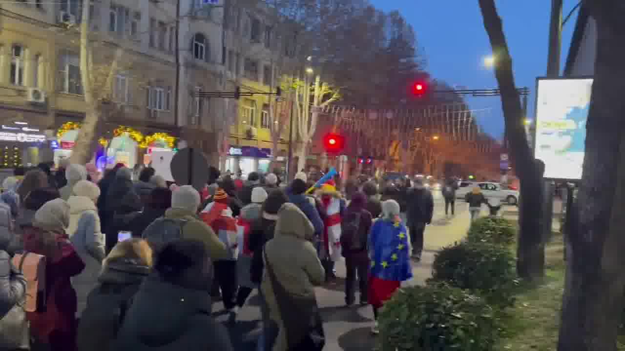 Election observers are marching on Rustaveli avenue: “Observers against the government. You can't fool us, we saw everything with our own eyes.”“We demand new elections,” their banner says