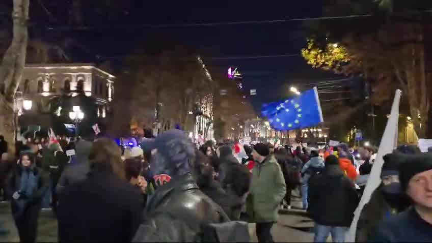 Protesters in Tbilisi have again blocked the central Rustaveli Avenue by gathering in front of parliament to protest the government’s decision to halt EU integration