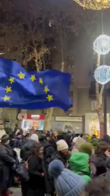 March of university community and march for Western education join on Chavchavadze Avenue in Tbilisi's Vake district on Day 20 of Georgia Protests