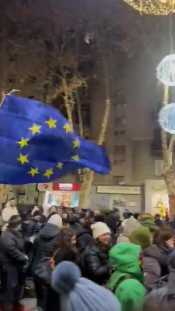 March of university community and march for Western education join on Chavchavadze Avenue in Tbilisi's Vake district on Day 20 of Georgia Protests  