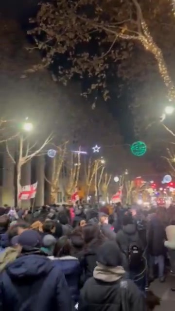 March of university community and march for Western education join on Chavchavadze Avenue in Tbilisi's Vake district on Day 20 of Georgia Protests  