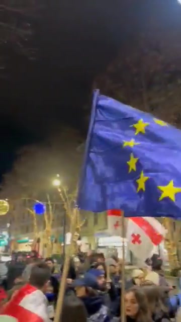 March of university community and march for Western education join on Chavchavadze Avenue in Tbilisi's Vake district on Day 20 of Georgia Protests  