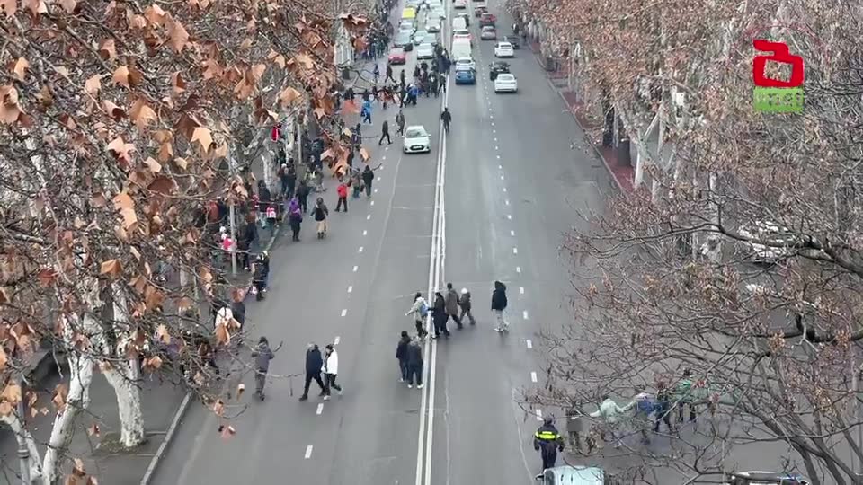 Cadeia de Unidade pela Geórgia: Tbilisi 28 de dezembro - um mês de protestos diários na Geórgia