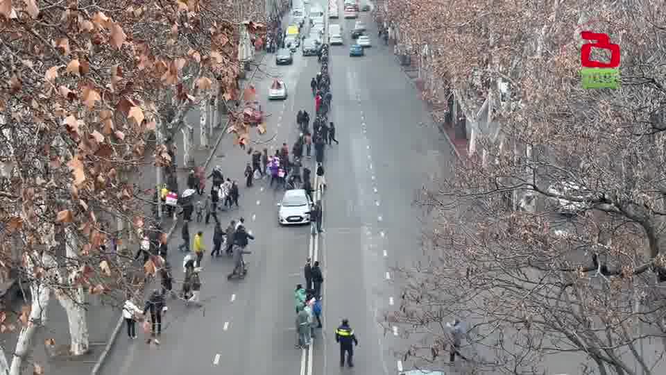 Cadeia de Unidade pela Geórgia: Tbilisi 28 de dezembro - um mês de protestos diários na Geórgia