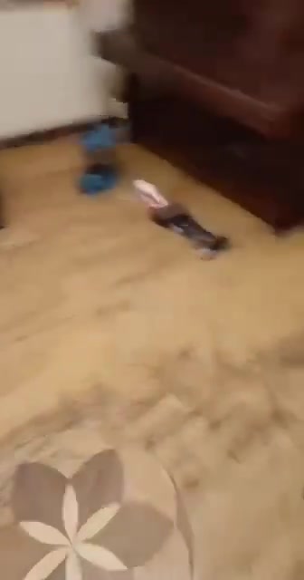 14 people detained in criminal case on attempted coup in Armenia. Weapons and ammunition found, Investigative Committee of the Republic of Armenia reports