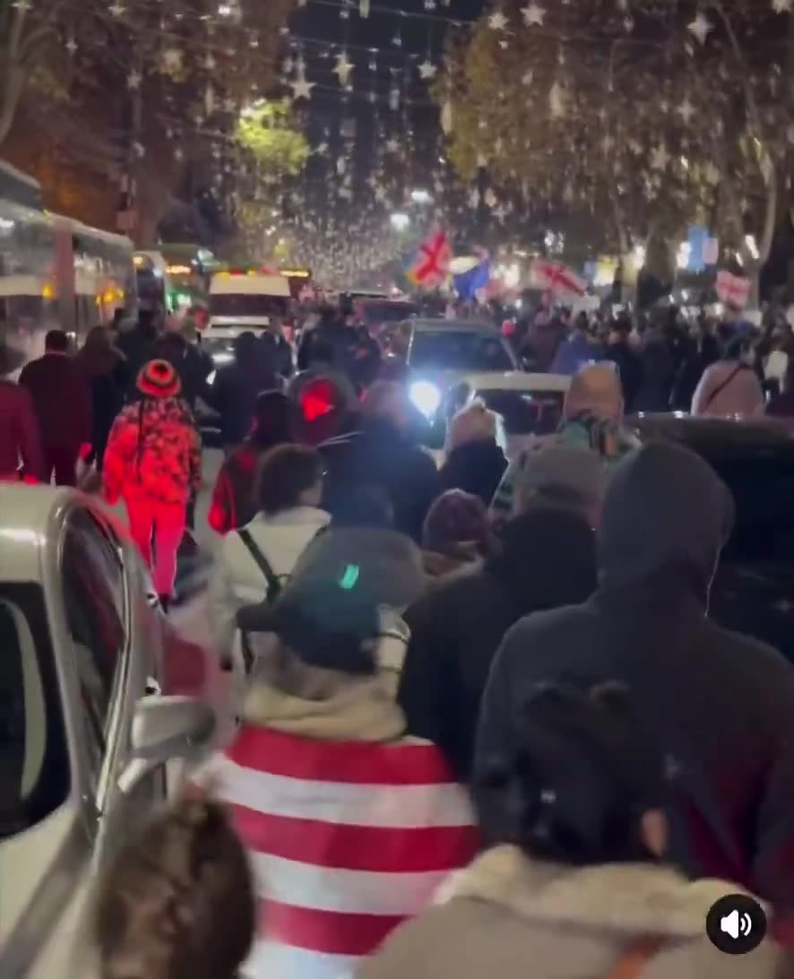 Protesters crowds march requesting an international investigation into the chemical substances use by the police against peaceful protesters