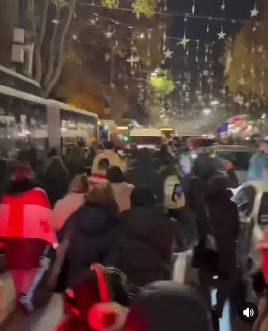 Protesters crowds march requesting an international investigation into the chemical substances use by the police against peaceful protesters