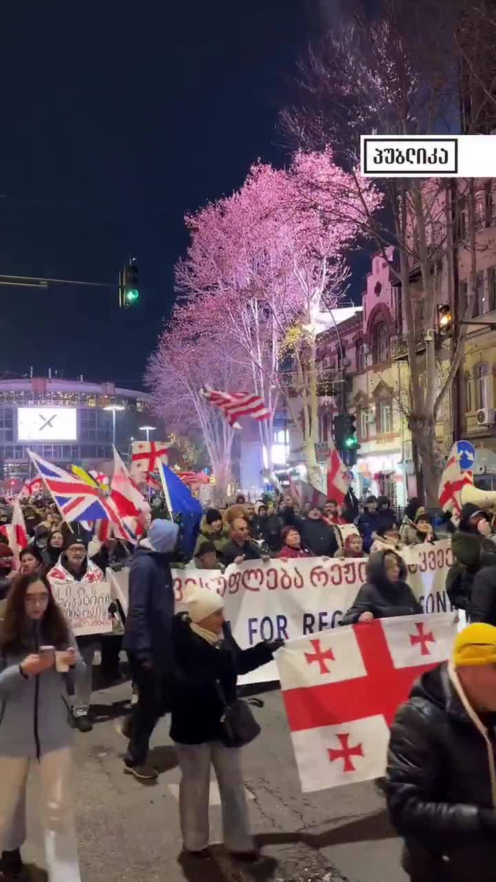Tiflis'te 2026 yılının ilk protesto yürüyüşü